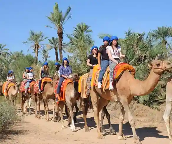 Thé traditionnel marocain