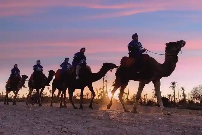 Camel Ride